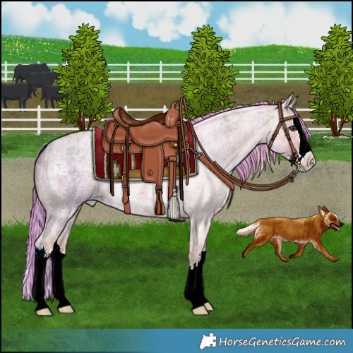 Horse Color:Painted White Spotted Chocolate Palomino Ice Roan Splash