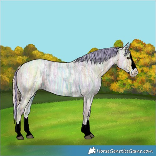 Horse Color:Painted Palomino Ice Roan Splash