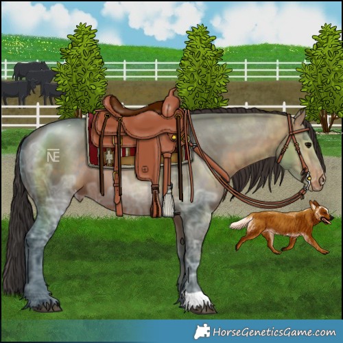 Horse Color:Brown Ice Varnish
