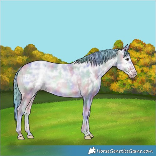 Horse Color:Nacre Watercolor Amber Champagne Ice Onyx