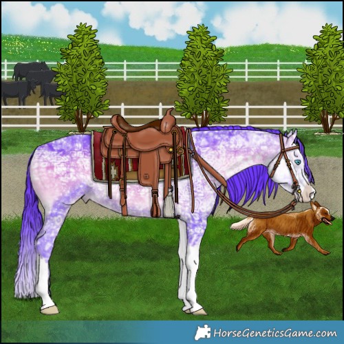 Horse Color:Watercolor Brown Ice Onyx Splash