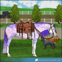 Horse Color:Watercolor Brown Ice Onyx Splash 