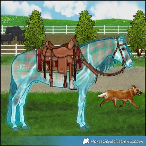 Horse Color:Thunderstruck Plaid Smoky Grullo Onyx