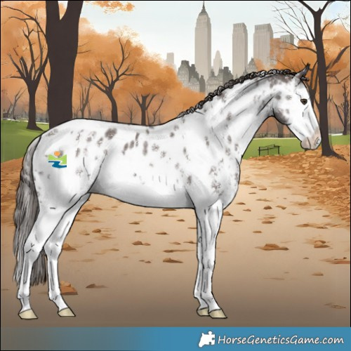 Horse Color:White Spotted Liver Chestnut Sabino Splash Near Leopard