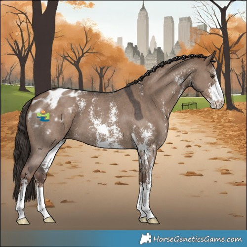 Horse Color:Liver Red Dun Sabino Varnish