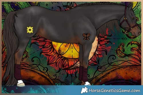Horse Color:Liver Chestnut