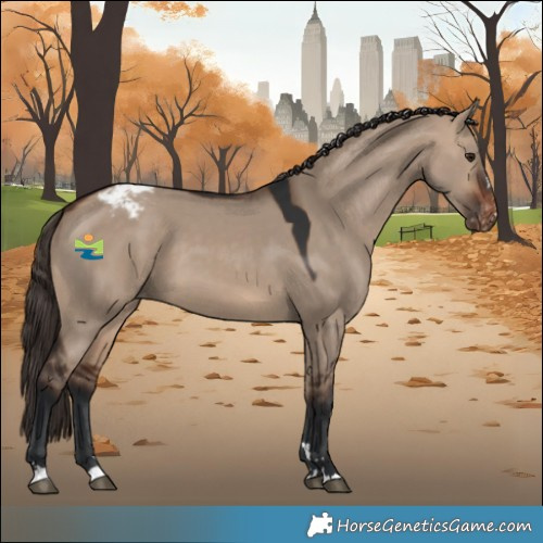 Horse Color:Brown Dun Varnish