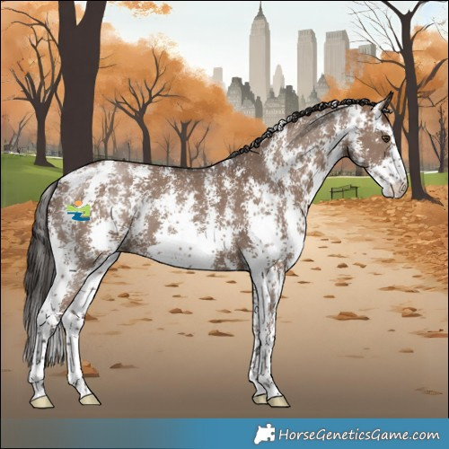 Horse Color:Liver Red Dun Sabino