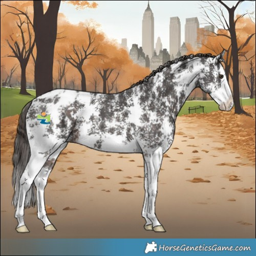 Horse Color:Liver Chestnut Sabino Splash Varnish
