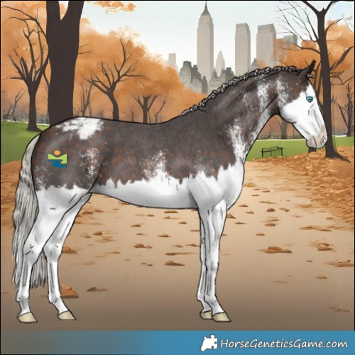 Horse Color:White Spotted Silver Brown Splash Varnish