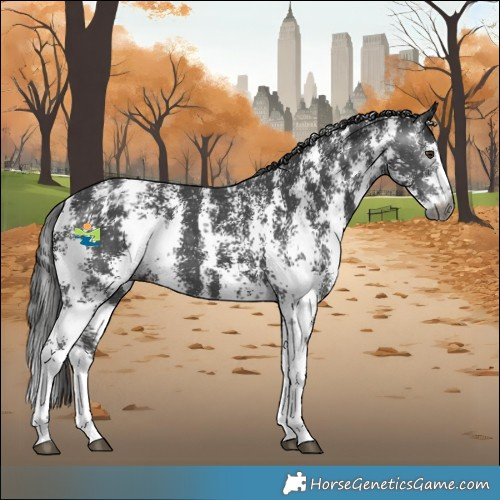 Horse Color:Gray Liver Chestnut Sabino Snowflake Varnish
