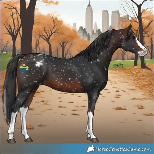 Horse Color:Brown Splash Snowflake Varnish 
