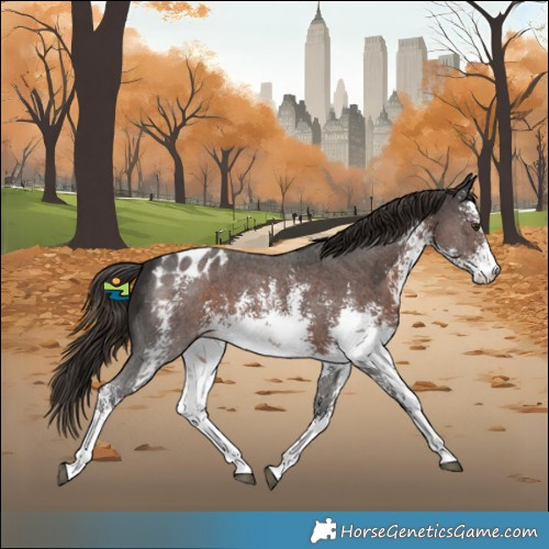 Horse Color:White Spotted Liver Chestnut Sabino Varnish