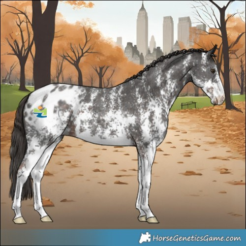 Horse Color:Liver Chestnut Sabino Varnish 