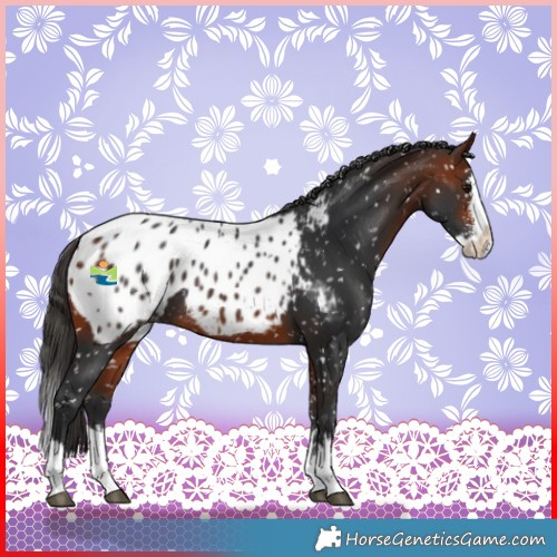 Horse Color:Bay Sabino Splash Blanket