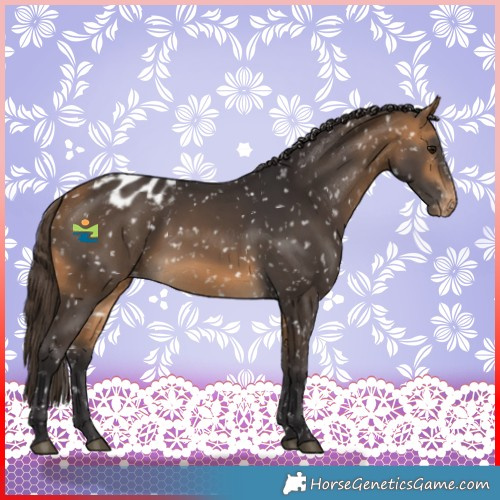 Horse Color:Buckskin Snowflake Varnish