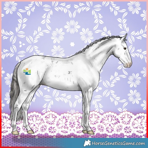 Horse Color:Liver Chestnut Sabino 