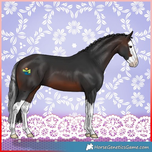 Horse Color:Brown Splash
