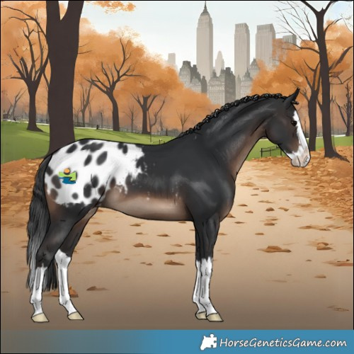 Horse Color:Brown Splash Blanket