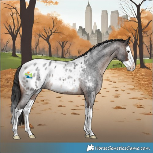 Horse Color:Brown Roan Splash Blanket 