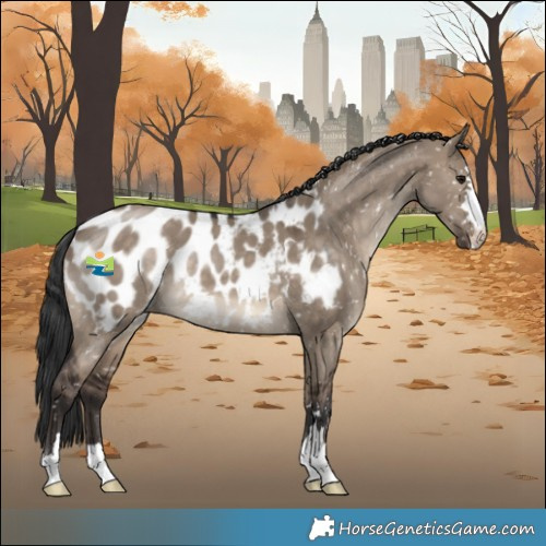 Horse Color:Brown Dun Blanket 