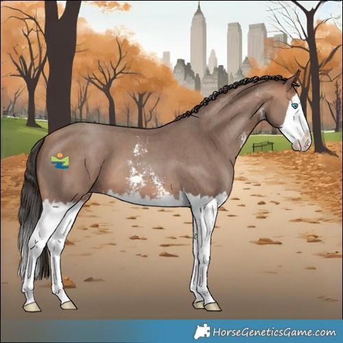 Horse Color:Sable Champagne Sabino Splash 