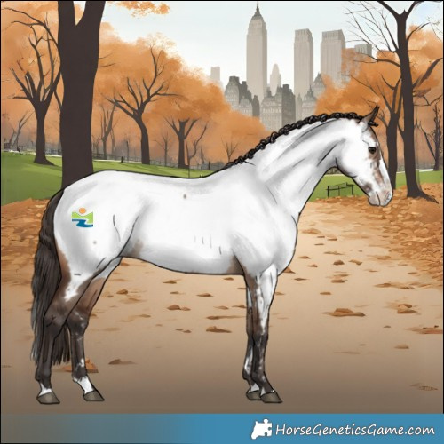 Horse Color:Brown Dun Splash Near Fewspot 