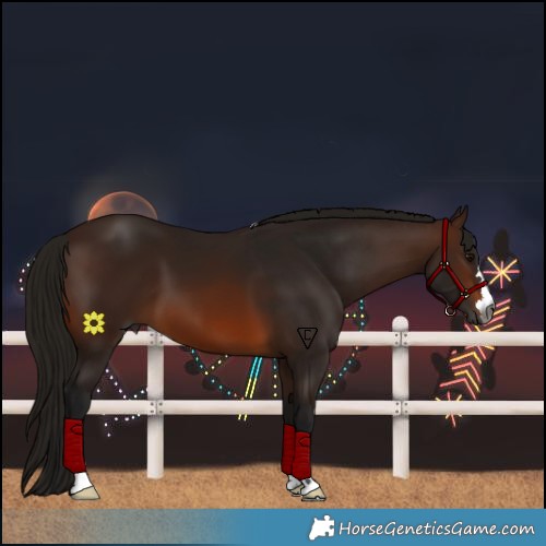 Horse Color:Gray Bay 