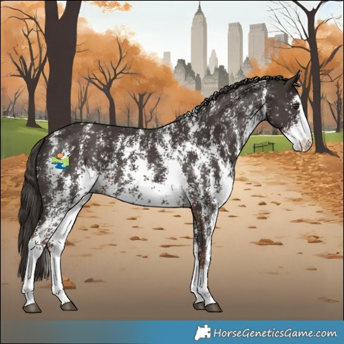 Horse Color:Liver Chestnut Sabino Snowflake Varnish 
