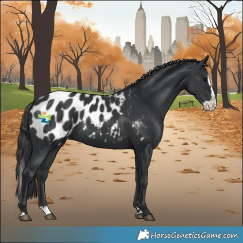 Horse Color:Black Splash Blanket 