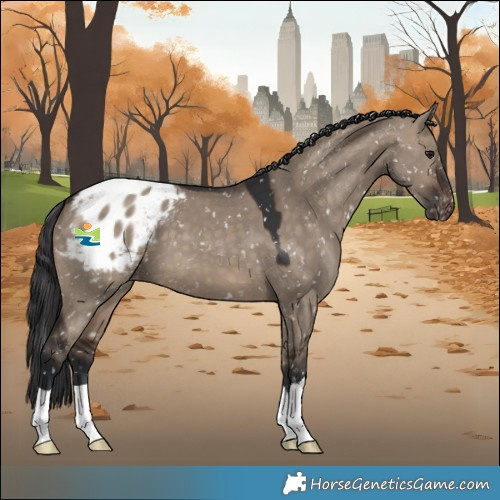 Horse Color:Brown Dun Snowflake Varnish 