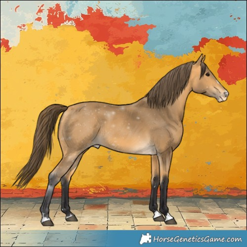 Horse Color:Buckskin Varnish 