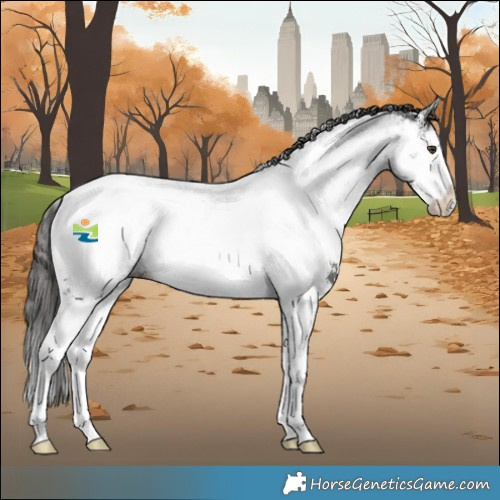 Horse Color:Liver Chestnut Sabino Splash Near Fewspot 