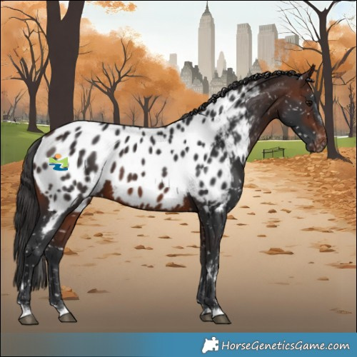 Horse Color:Brown Blanket 