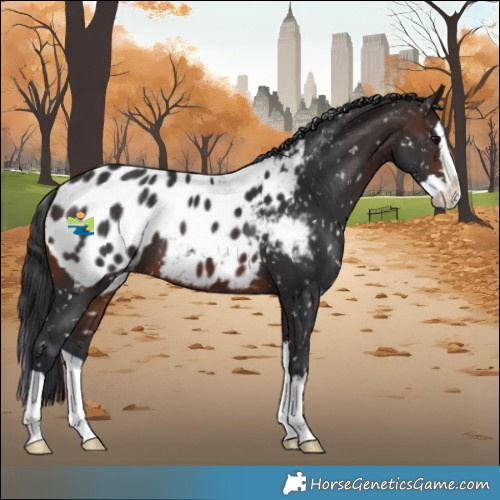 Horse Color:Brown Splash Blanket 