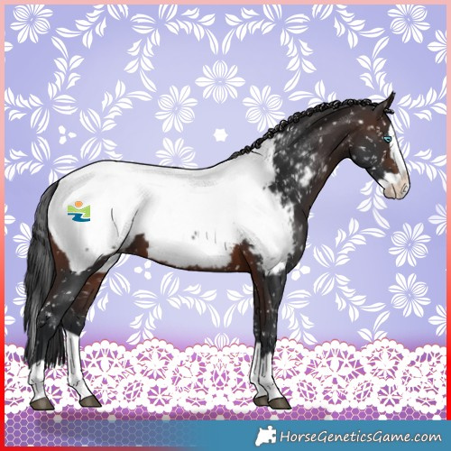 Horse Color:Brown Splash Near Fewspot