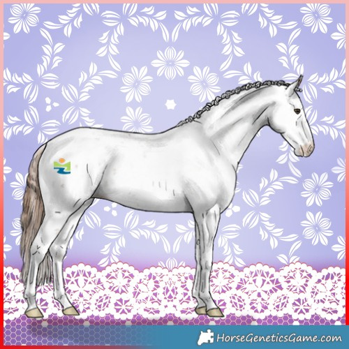 Horse Color:Chestnut Sabino Near Leopard