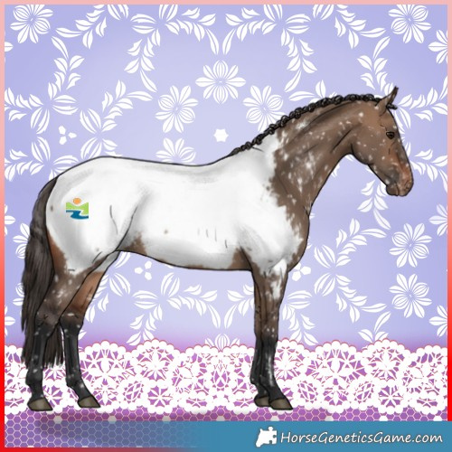 Horse Color:Brown Dun Near Fewspot 