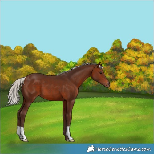 Horse Color:Silver Brown