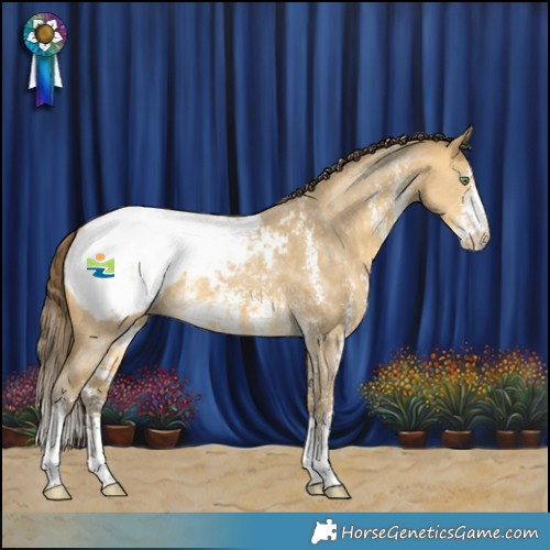 Horse Color:Amber Cream Champagne Dun Sabino Snowcap