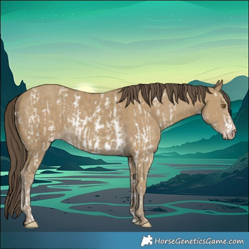 Horse Color:Classic Cream Champagne Sabino  and Classic Cream Champagne 