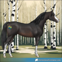 Horse Color:White Spotted Brown Mushroom