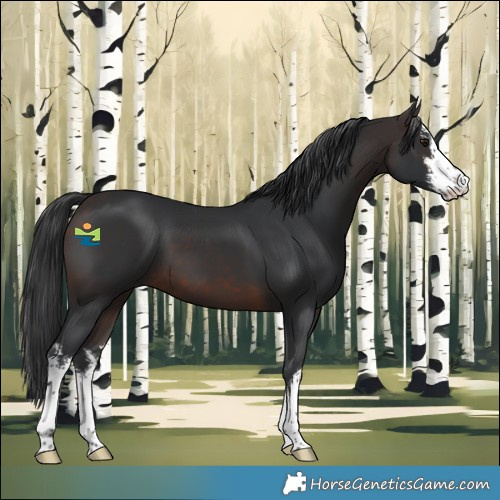 Horse Color:White Spotted Brown Mushroom 