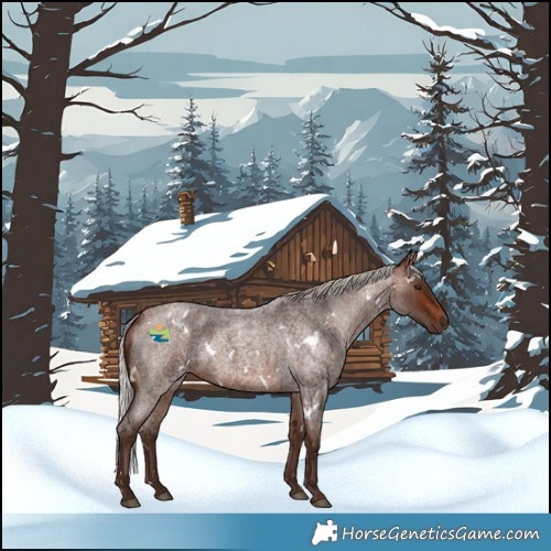 Horse Color:White Spotted Silver Brown Roan Rabicano 