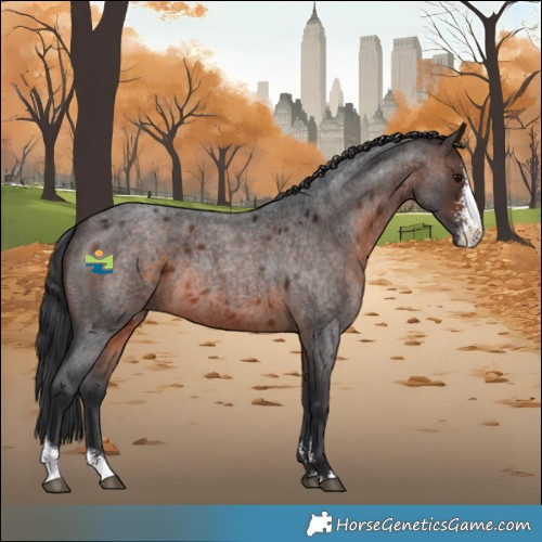 Horse Color:Brown Roan Sabino Rabicano 