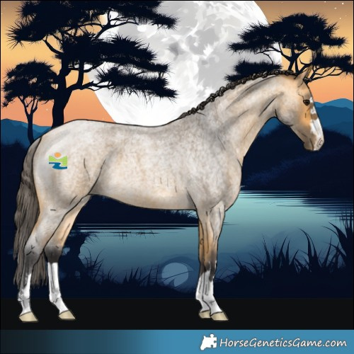 Horse Color:Buckskin Roan