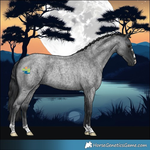 Horse Color:Blue Roan 