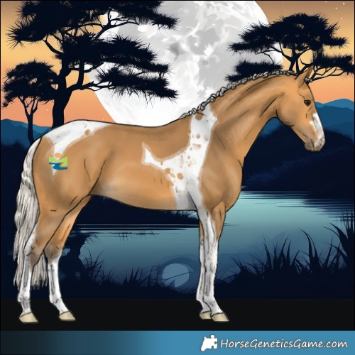 Horse Color:Silver Buckskin Tobiano