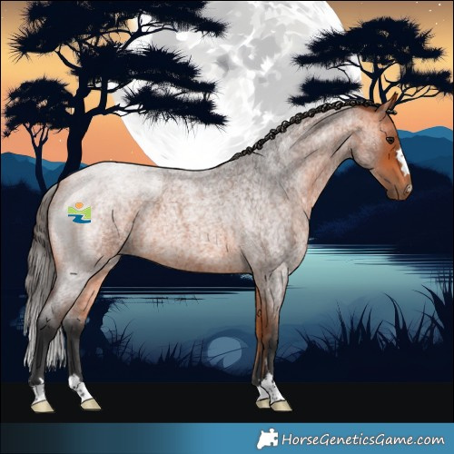 Horse Color:Bay Roan