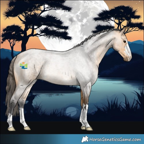 Horse Color:Buckskin Roan 